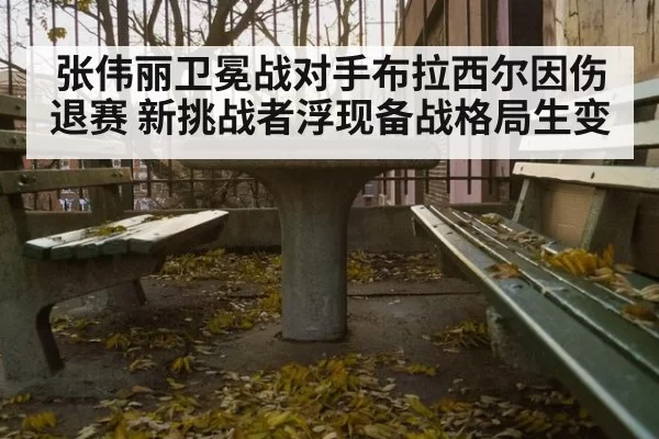 张伟丽卫冕战对手布拉西尔因伤退赛 新挑战者浮现备战格局生变