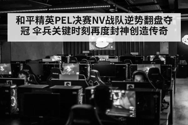 和平精英PEL决赛NV战队逆势翻盘夺冠 伞兵关键时刻再度封神创造传奇