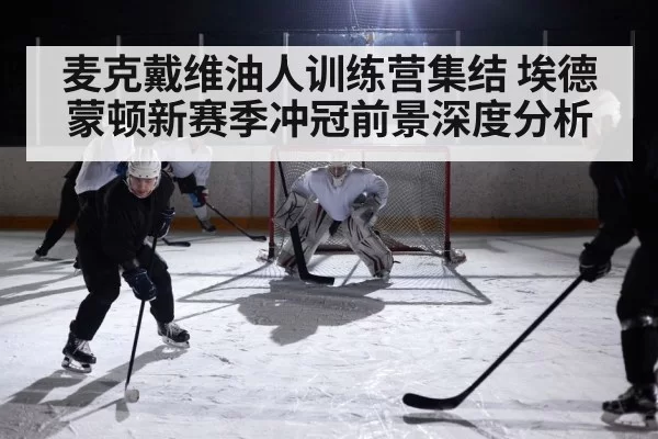 ice hockey arena action